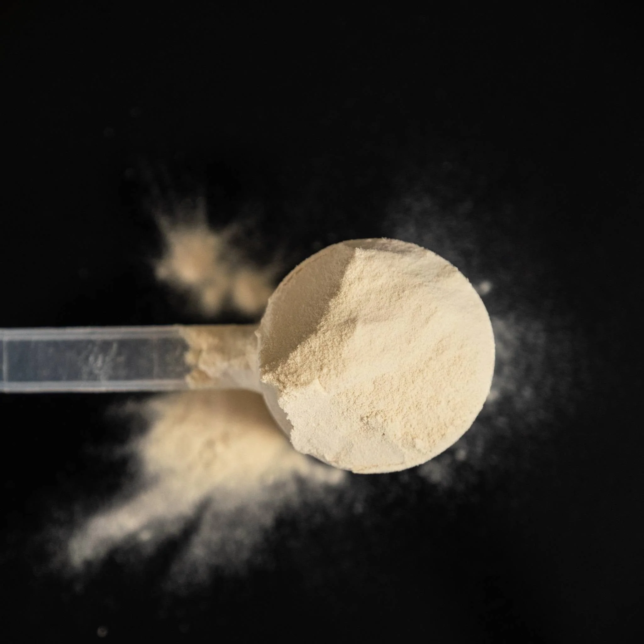 Protein Powder | Vanilla - Image 3